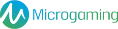 Provider microgaming